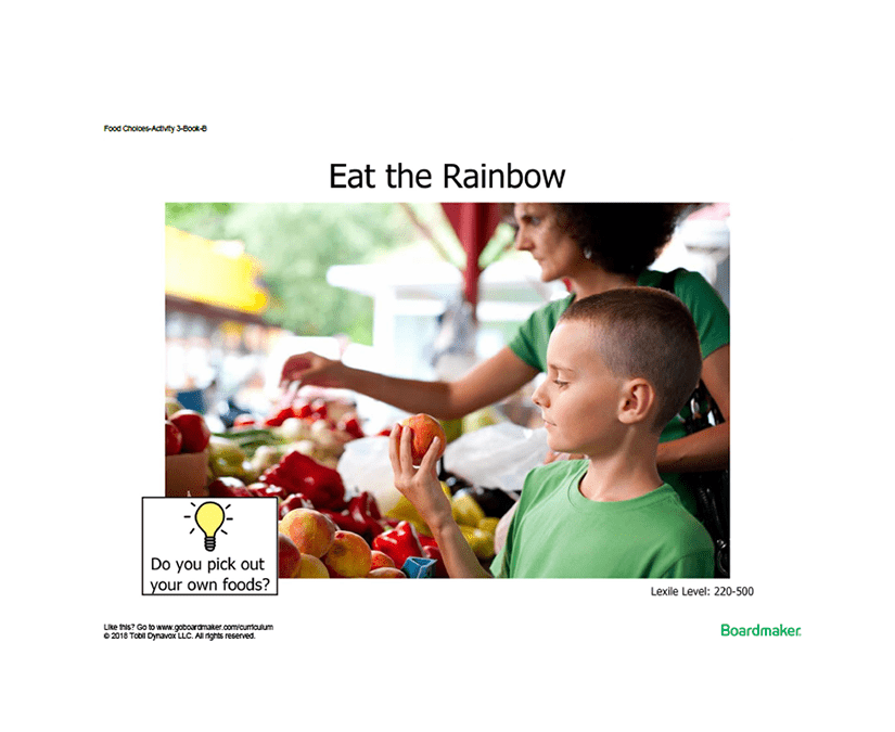 Tobii Dynavox Activities-to-Go book about making good food choices